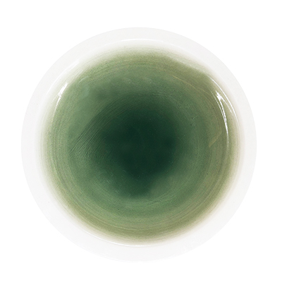 Green Tide Wide Rim Plate 25.5cm