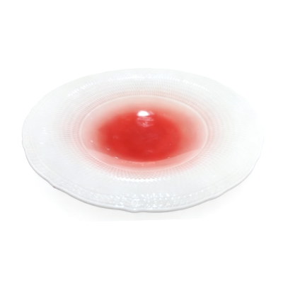 Red Tide Elysian Wide Rim Plate
